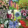Everlasting Perennial Collection -Garden Glory Sales 10part