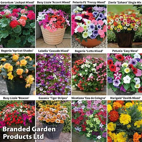 Garden Ready Bumper Collection 3 Garden Ready Bumper Collection