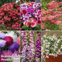 Summer Plant & Seed Bundle -Garden Glory Sales 6 1