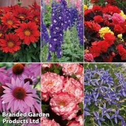 Summer Plant & Seed Bundle -Garden Glory Sales 6 2