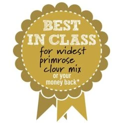 Primrose 'Alaska Improved Mixed' -Garden Glory Sales BIC WIDESTPRIMROSEMIX B h