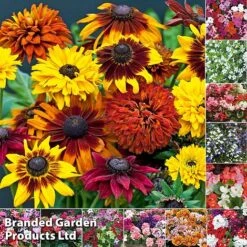 Garden Glory Sales -Garden Glory Sales BUMP GARDENCOLL2