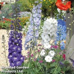 129 Bulb & Perennial Bumper Pack -Garden Glory Sales DELPH MXED