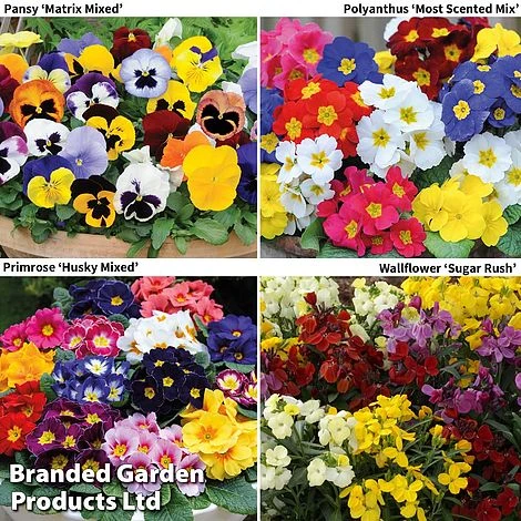 Garden Ready Autumn Collection 3 Garden Ready Autumn Collection