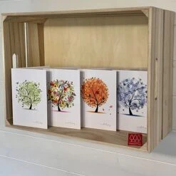 Silver Birch Tree (Betula Pendula) Grown By Cotswold Trees -Garden Glory Sales IMG 1416202