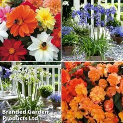 Summer Plant & Seed Collection 15 Summer Plant & Seed Collection -Garden Glory Sales MSE feb31