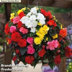 129 Bulb & Perennial Bumper Pack -Garden Glory Sales NON STOP MXED2