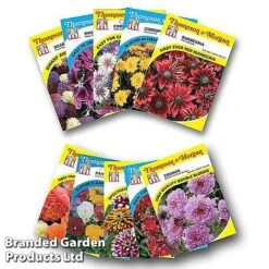Nurserymans Choice Bedding Mix + 100g Incredibloom® + Nurserymans Choice Flower Seeds -Garden Glory Sales NURS BED COLL3
