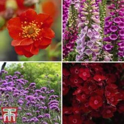 Rouge Perennial Collection