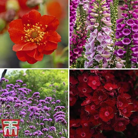 Rouge Perennial Collection 3 Rouge Perennial Collection