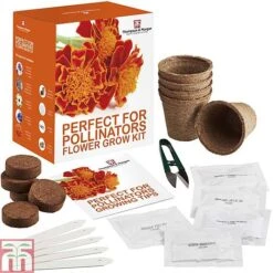 Pollinator Flowers Growing Kit 9 Pollinator Flowers Growing Kit -Garden Glory Sales PERF TKA1544 B1