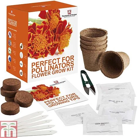 Pollinator Flowers Growing Kit 4 Pollinator Flowers Growing Kit - Image 2