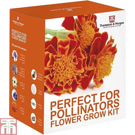 Pollinator Flowers Growing Kit 6 Pollinator Flowers Growing Kit - Image 4