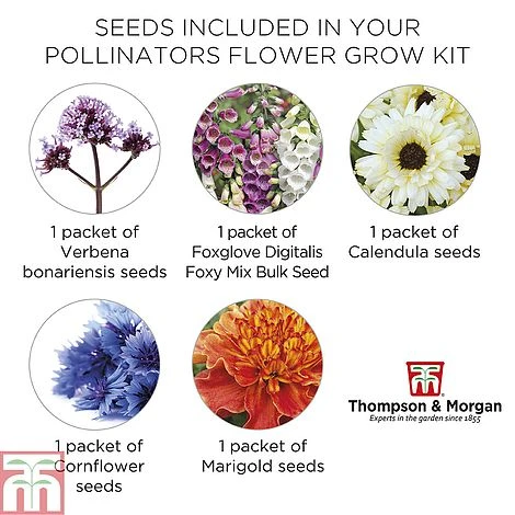 Pollinator Flowers Growing Kit 7 Pollinator Flowers Growing Kit - Image 5