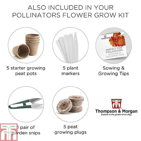 Pollinator Flowers Growing Kit 8 Pollinator Flowers Growing Kit - Image 6