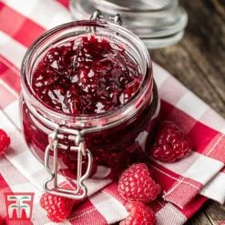 Raspberry 'Little Sweet Sister' -Garden Glory Sales RASP RECIPE CUL