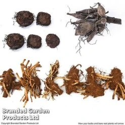 Summer Plant Collection 15 Summer Plant Collection -Garden Glory Sales SUMM KF4124 ARRIVE1