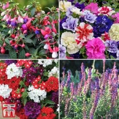 Nurseryman's Choice Container Mix -Garden Glory Sales sumbed2