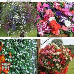 Bumper Garden Collection -Garden Glory Sales z BUMP KB3121 B