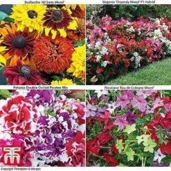 Bumper Garden Collection -Garden Glory Sales z BUMP KB3121 O1