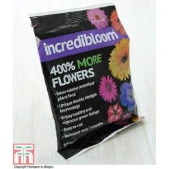 Clematis 'New Love' 21 Clematis 'New Love' -Garden Glory Sales z INCR T47963 E h3